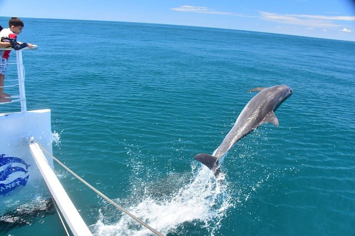 Katamaran-Segelabenteuer entlang der Küste des Manuel Antonio Nationalparks, Costa Rica, Foto 23 | wizardtrip