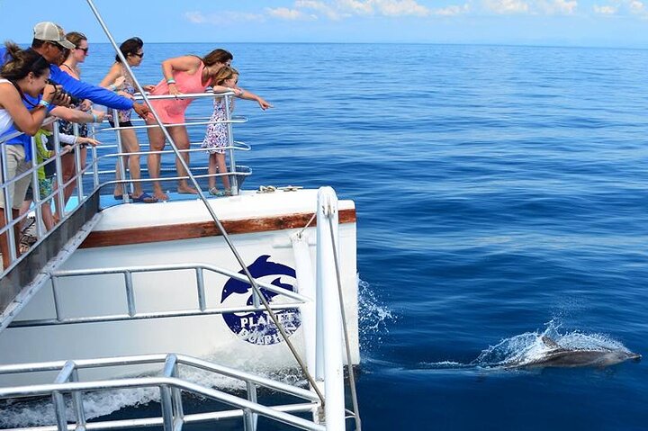 All-inclusive katamaran eventyr i Playa Flamingo, Costa Rica, med snorkling, dyreliv og vandrutschebane sjov, foto 6 | wizardtrip