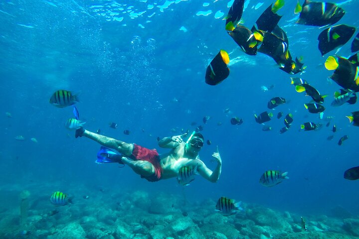 All-inclusive katamaran eventyr i Playa Flamingo, Costa Rica, med snorkling, dyreliv og vandrutschebane sjov, foto 9 | wizardtrip