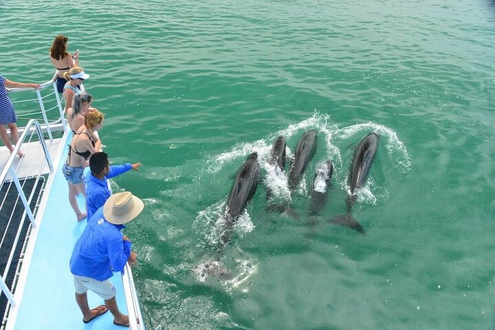 All-inclusive katamaran eventyr i Playa Flamingo, Costa Rica, med snorkling, dyreliv og vandrutschebane sjov, foto 10 | wizardtrip