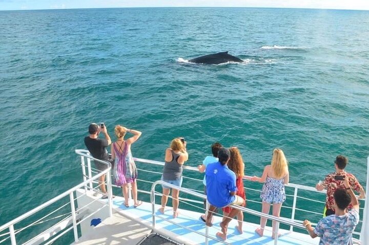 All-inclusive katamaran eventyr i Playa Flamingo, Costa Rica, med snorkling, dyreliv og vandrutschebane sjov, foto 17 | wizardtrip