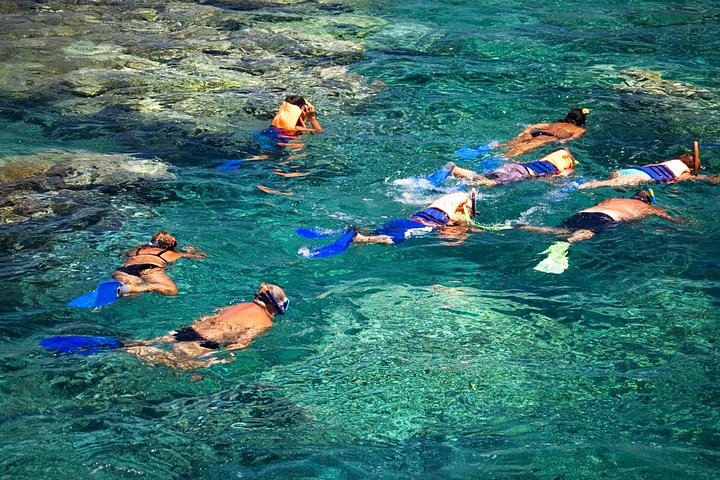 All-inclusive katamaran eventyr i Playa Flamingo, Costa Rica, med snorkling, dyreliv og vandrutschebane sjov, foto 18 | wizardtrip