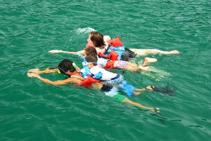 All-inclusive katamaran eventyr i Playa Flamingo, Costa Rica, med snorkling, dyreliv og vandrutschebane sjov, foto 27 | wizardtrip