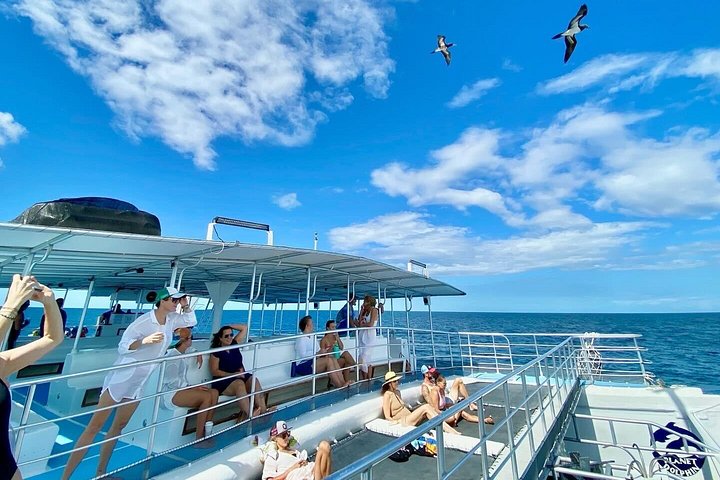 All-inclusive katamaran eventyr i Playa Flamingo, Costa Rica, med snorkling, dyreliv og vandrutschebane sjov, foto 30 | wizardtrip