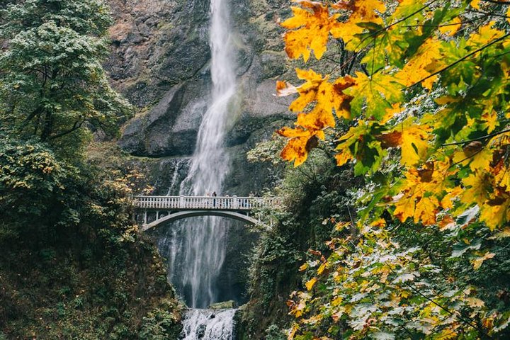 ポートランド発マウントフッド日帰りツアー：マルチノマ滝とフッドリバー | wizardtrip