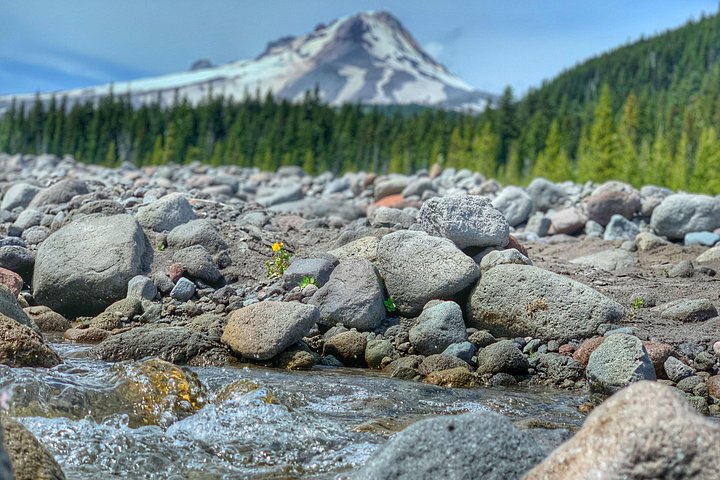 Schilderachtige dagtocht van Portland naar Mt Hood, met watervallen, bossen en berguitzichten, foto 6 | wizardtrip