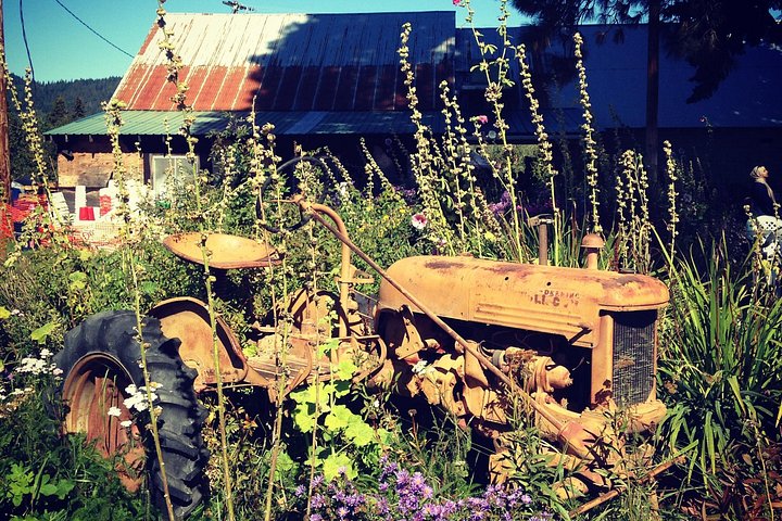 Schilderachtige dagtocht van Portland naar Mt Hood, met watervallen, bossen en berguitzichten, foto 9 | wizardtrip