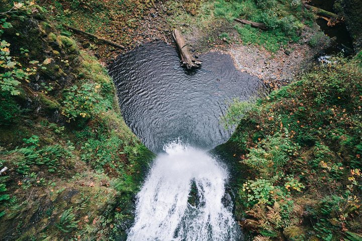 Schilderachtige dagtocht van Portland naar Mt Hood, met watervallen, bossen en berguitzichten, foto 11 | wizardtrip