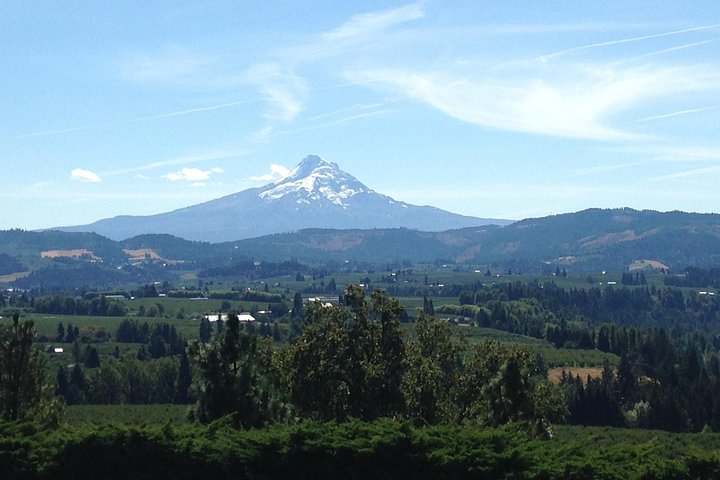 Schilderachtige dagtocht van Portland naar Mt Hood, met watervallen, bossen en berguitzichten, foto 18 | wizardtrip