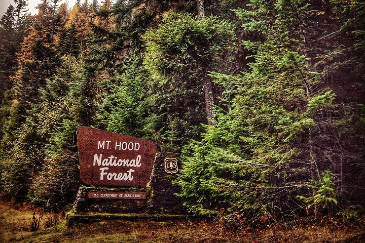 Schilderachtige dagtocht van Portland naar Mt Hood, met watervallen, bossen en berguitzichten, foto 19 | wizardtrip