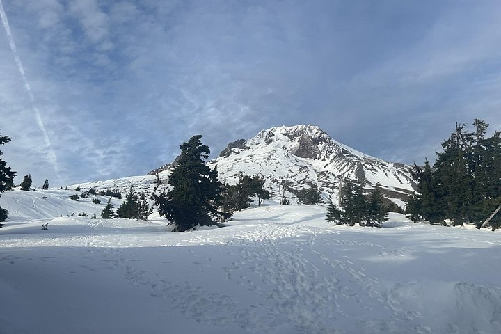 Schilderachtige dagtocht van Portland naar Mt Hood, met watervallen, bossen en berguitzichten, foto 22 | wizardtrip