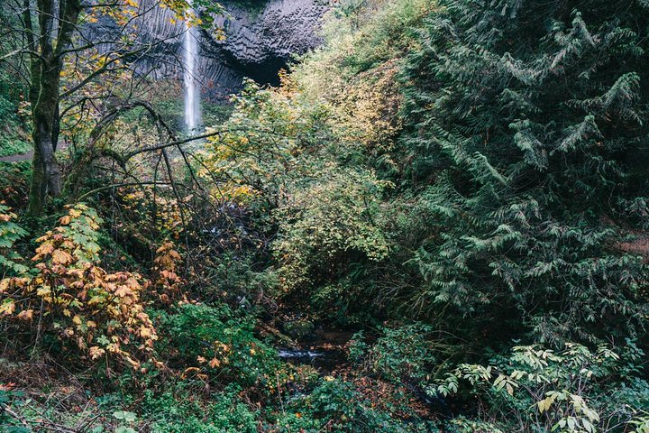 Schilderachtige tour van de watervallen van de Columbia River Gorge nabij Portland, Oregon, foto 7 | wizardtrip