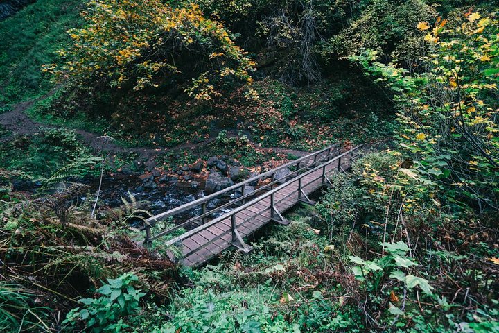 Tour panoramico delle cascate di Multnomah Falls e della Columbia River Gorge da Portland, foto 8 | wizardtrip