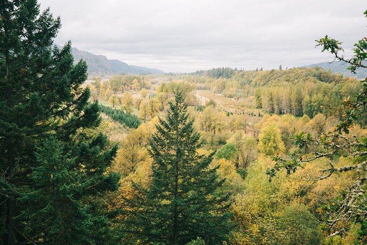 Tour panoramico delle cascate di Multnomah Falls e della Columbia River Gorge da Portland, foto 11 | wizardtrip