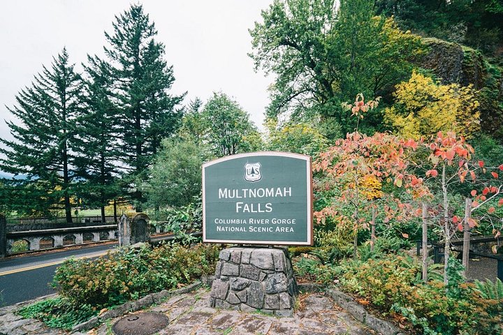 Tour panoramico delle cascate di Multnomah Falls e della Columbia River Gorge da Portland, foto 13 | wizardtrip