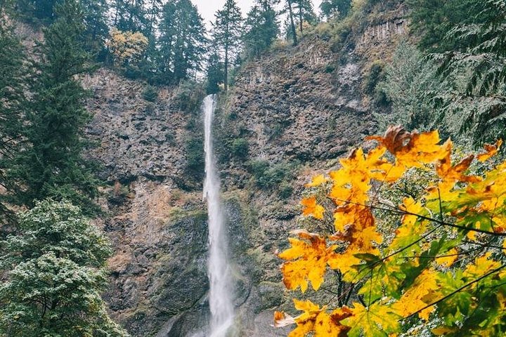 Tour panoramico delle cascate di Multnomah Falls e della Columbia River Gorge da Portland, foto 14 | wizardtrip