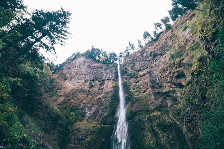 Tour panoramico delle cascate di Multnomah Falls e della Columbia River Gorge da Portland, foto 15 | wizardtrip