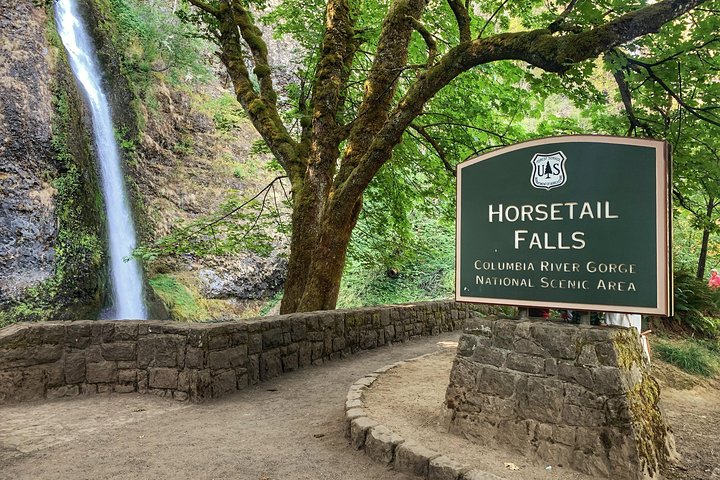 Tour panoramico delle cascate di Multnomah Falls e della Columbia River Gorge da Portland, foto 17 | wizardtrip