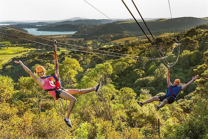 Waiheke Island: Zipline und Waldspaziergang Abenteuer | wizardtrip
