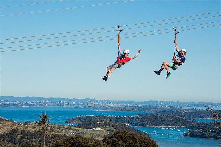 Expérience de tyrolienne et de balade en forêt sur l'île de Waiheke, Nouvelle-Zélande, avec des vues magnifiques sur le golfe, photo 6 | wizardtrip