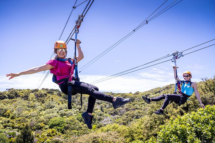 Expérience de tyrolienne et de balade en forêt sur l'île de Waiheke, Nouvelle-Zélande, avec des vues magnifiques sur le golfe, photo 7 | wizardtrip