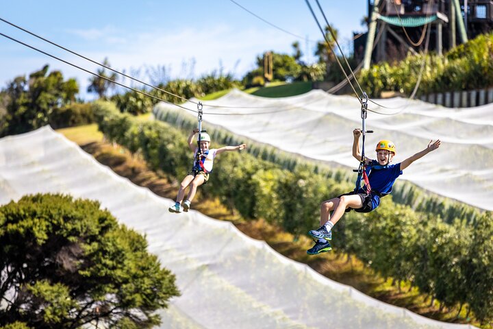 Expérience de tyrolienne et de balade en forêt sur l'île de Waiheke, Nouvelle-Zélande, avec des vues magnifiques sur le golfe, photo 8 | wizardtrip