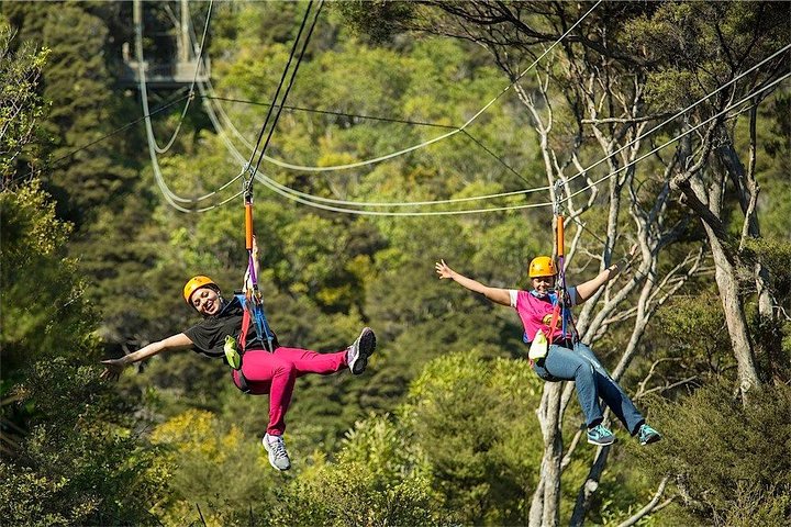 Expérience de tyrolienne et de balade en forêt sur l'île de Waiheke, Nouvelle-Zélande, avec des vues magnifiques sur le golfe, photo 9 | wizardtrip