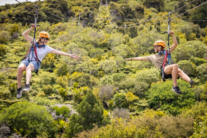 Expérience de tyrolienne et de balade en forêt sur l'île de Waiheke, Nouvelle-Zélande, avec des vues magnifiques sur le golfe, photo 11 | wizardtrip