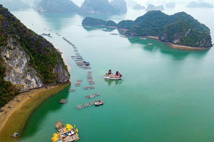 Excursion d'une journée dans la baie d'Ha Long - Meilleures ventes : Kayak, Natation, Randonnée et Déjeuner | wizardtrip