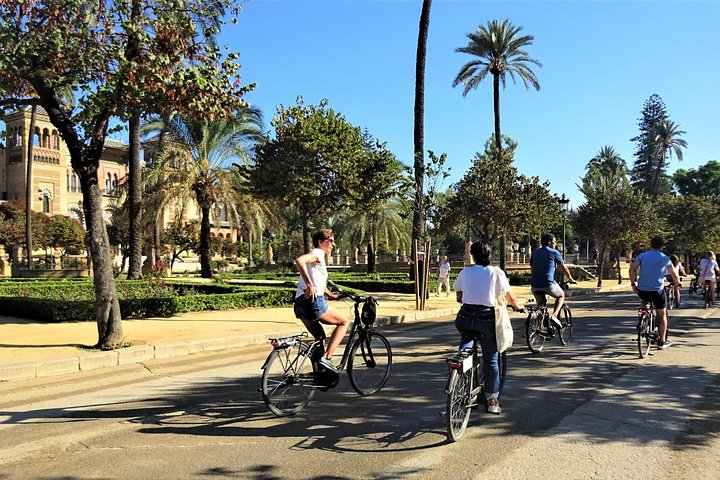 Electric bike tour in Seville, exploring historic sites and vibrant neighborhoods with a small group, photo 6 | wizardtrip