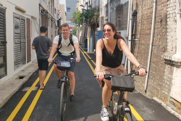 Cykeltur for små grupper, der udforsker Singapores vartegn, kultur og skjulte gader, foto 15 | wizardtrip
