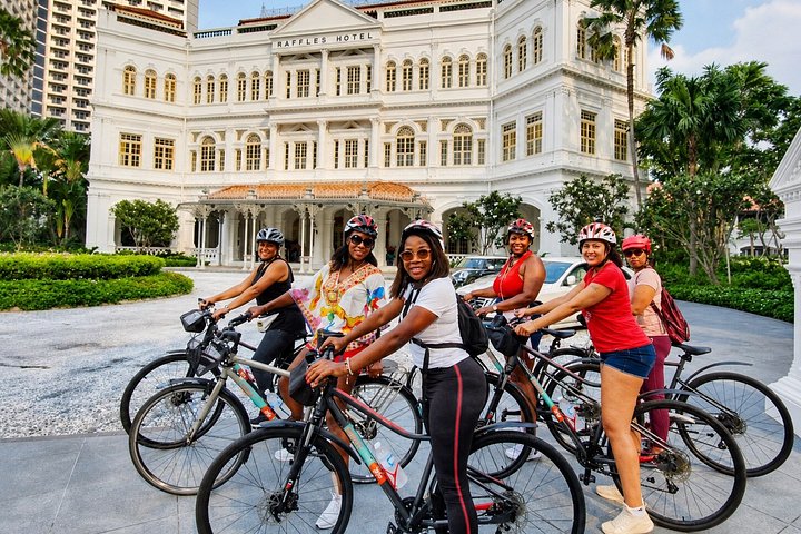 Cykeltur for små grupper, der udforsker Singapores vartegn, kultur og skjulte gader, foto 17 | wizardtrip