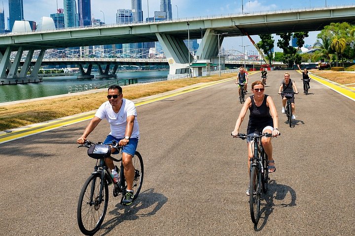 Cykeltur for små grupper, der udforsker Singapores vartegn, kultur og skjulte gader, foto 18 | wizardtrip