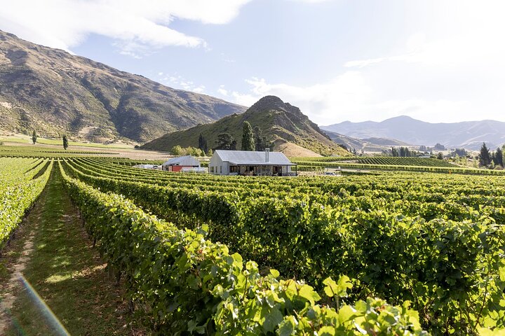 Preisgekrönte Premium-Weintour Queenstown mit Verkostung in 4 Weingütern | wizardtrip