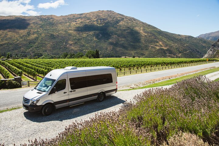 Premium wijnproeftour in de Gibbston Valley bij Queenstown, met wijngaarden en proeflokalen, foto 9 | wizardtrip