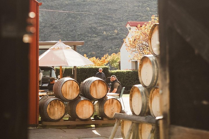 Premium wijnproeftour in de Gibbston Valley bij Queenstown, met wijngaarden en proeflokalen, foto 14 | wizardtrip