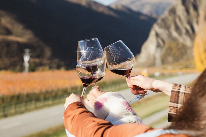 Premium wijnproeftour in de Gibbston Valley bij Queenstown, met wijngaarden en proeflokalen, foto 21 | wizardtrip