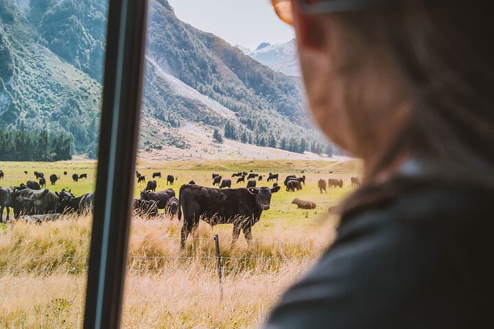 Passeio cénico de Glenorchy e Vale do Paraíso a partir de Queenstown, Nova Zelândia, com locais de filmagem da Terra Média, foto 12 | wizardtrip