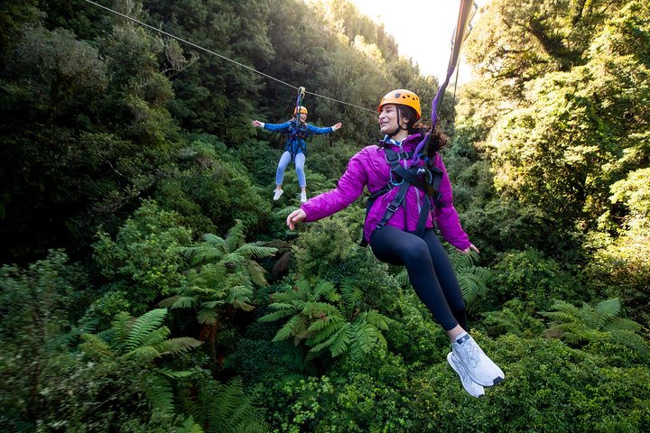 Experimente tirolesas emocionantes e caminhadas na floresta na antiga copa de Rotorua, foto 8 | wizardtrip