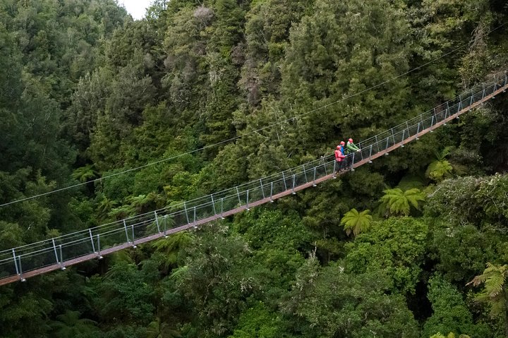 Experimente tirolesas emocionantes e caminhadas na floresta na antiga copa de Rotorua, foto 10 | wizardtrip