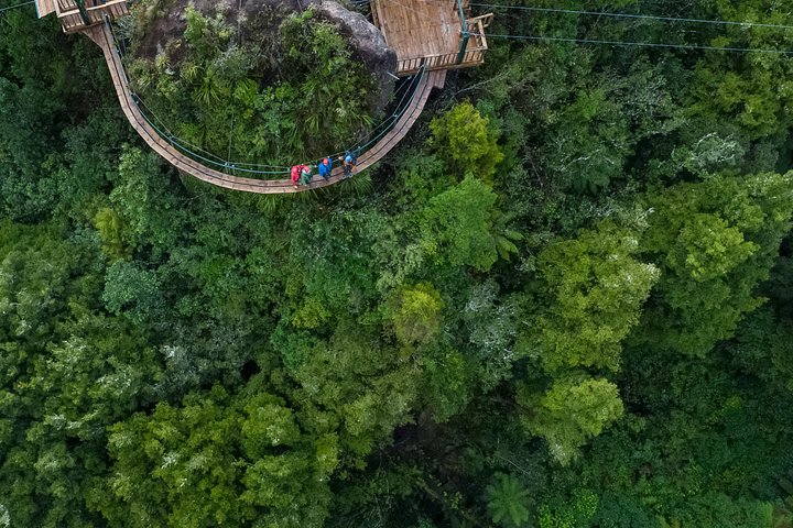 Experimente tirolesas emocionantes e caminhadas na floresta na antiga copa de Rotorua, foto 13 | wizardtrip