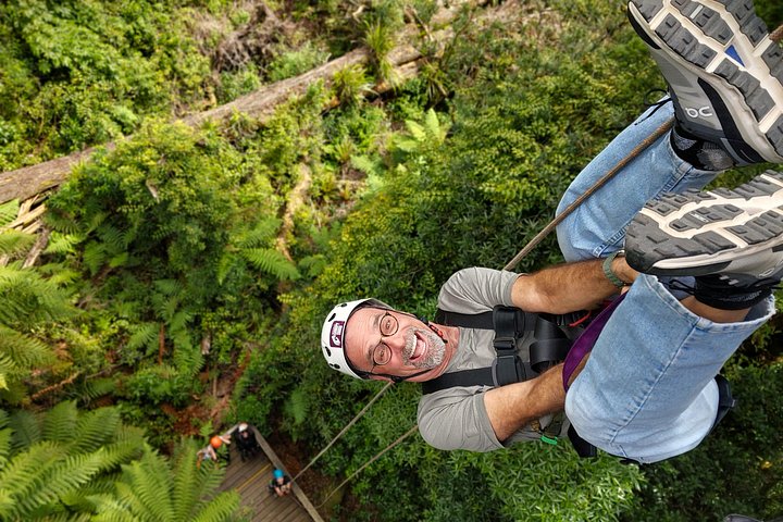 Experimente tirolesas emocionantes e caminhadas na floresta na antiga copa de Rotorua, foto 19 | wizardtrip