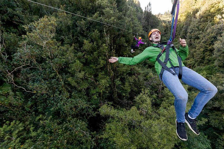 Experimente tirolesas emocionantes e caminhadas na floresta na antiga copa de Rotorua, foto 20 | wizardtrip