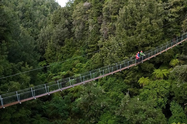 Experimente tirolesas emocionantes e caminhadas na floresta na antiga copa de Rotorua, foto 21 | wizardtrip