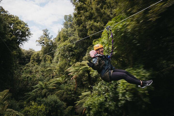 Rotorua Canopy Tours: 2.5-Hour Native Forest Zipline Adventure | wizardtrip
