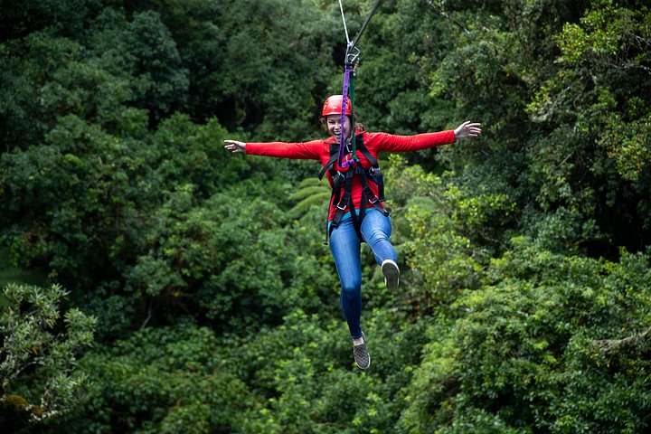 Experimente tirolesas e pontes suspensas emocionantes na floresta nativa antiga de Rotorua, foto 7 | wizardtrip