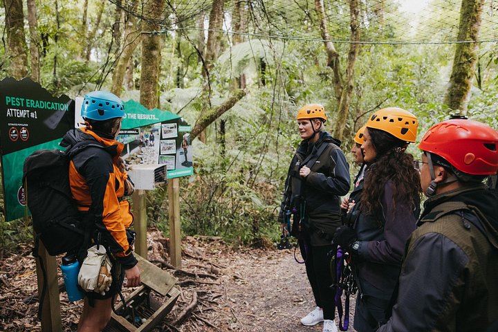 Experimente tirolesas e pontes suspensas emocionantes na floresta nativa antiga de Rotorua, foto 10 | wizardtrip