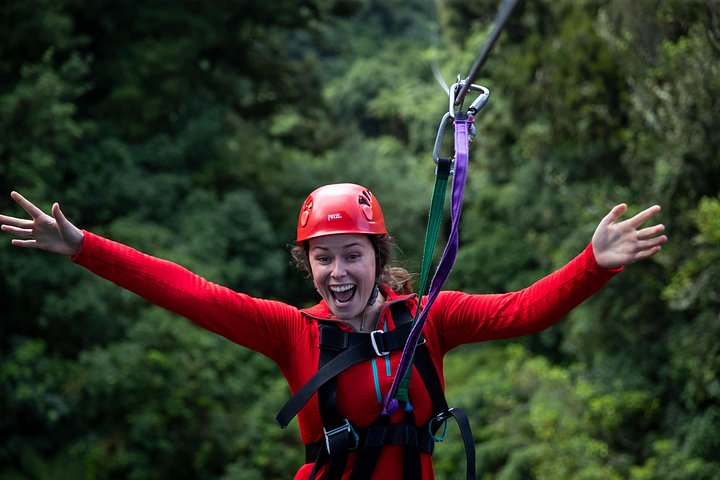 Experimente tirolesas e pontes suspensas emocionantes na floresta nativa antiga de Rotorua, foto 11 | wizardtrip