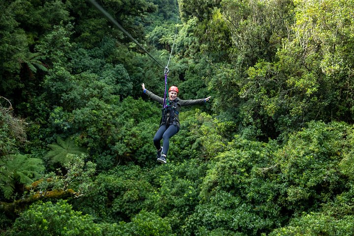 Experimente tirolesas e pontes suspensas emocionantes na floresta nativa antiga de Rotorua, foto 12 | wizardtrip