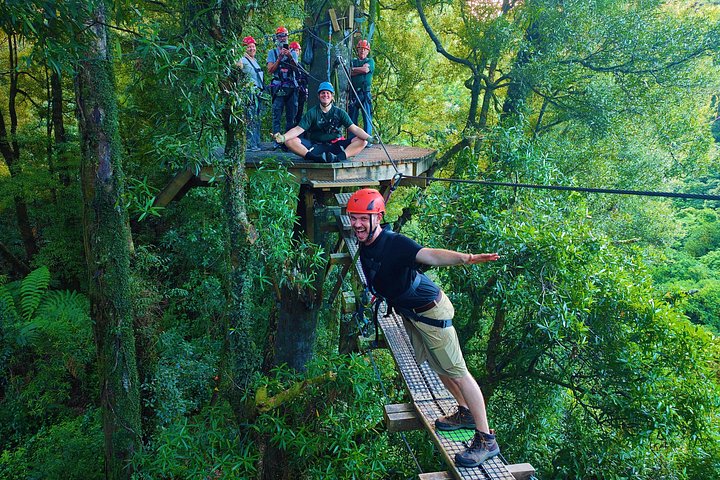 Experimente tirolesas e pontes suspensas emocionantes na floresta nativa antiga de Rotorua, foto 13 | wizardtrip